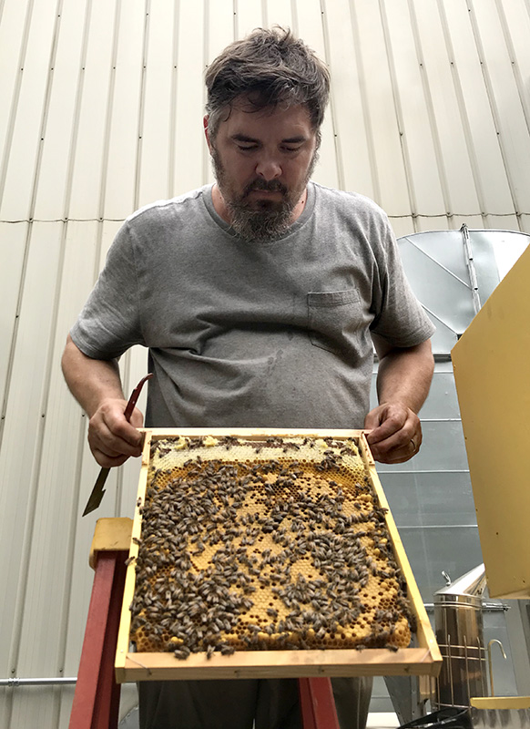 Kenneth with Layens frame full of bees