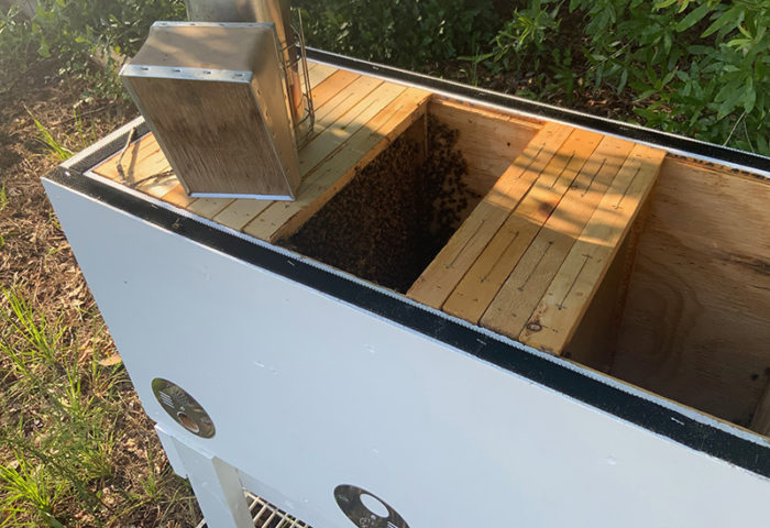 20 frame hive